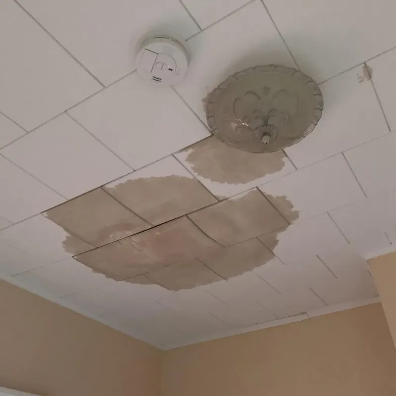 Ceiling Water Damage Repair in Watford City, ND