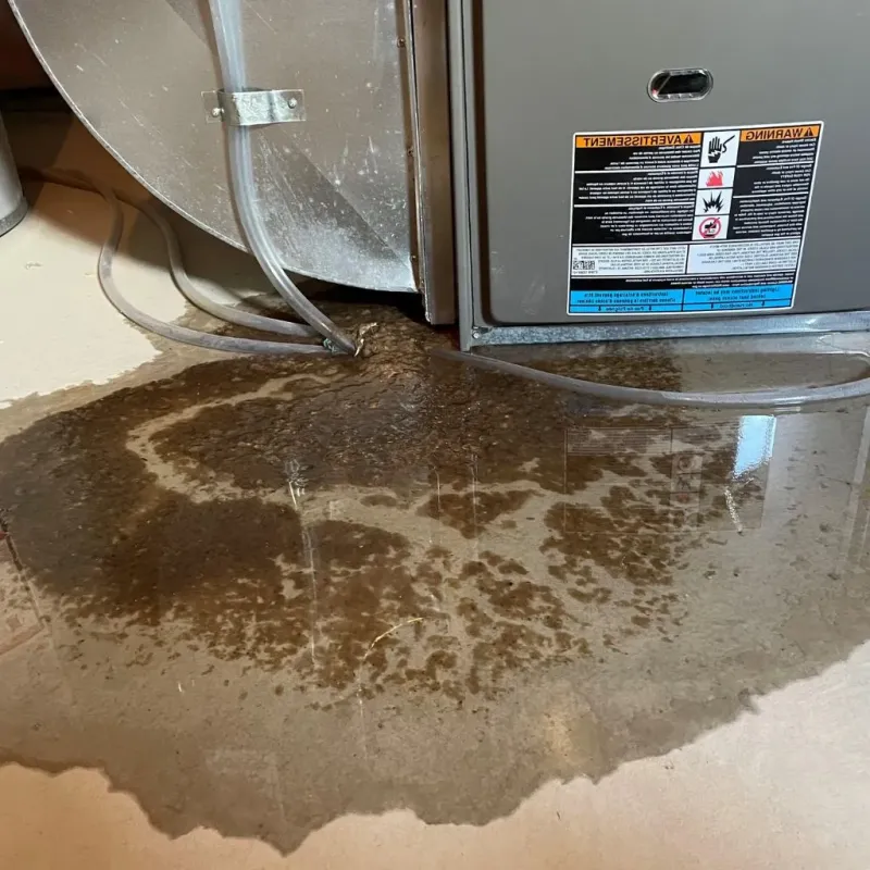 Pipe Burst and Leak Restoration in Watford City, ND