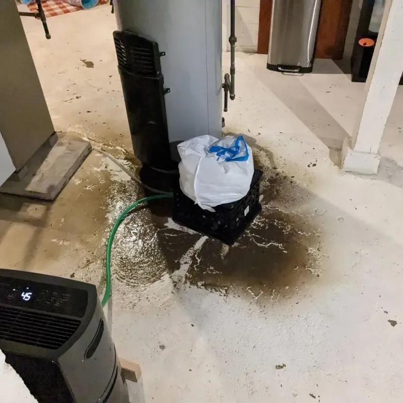 Sewage Backup Cleanup Service in Watford City, ND